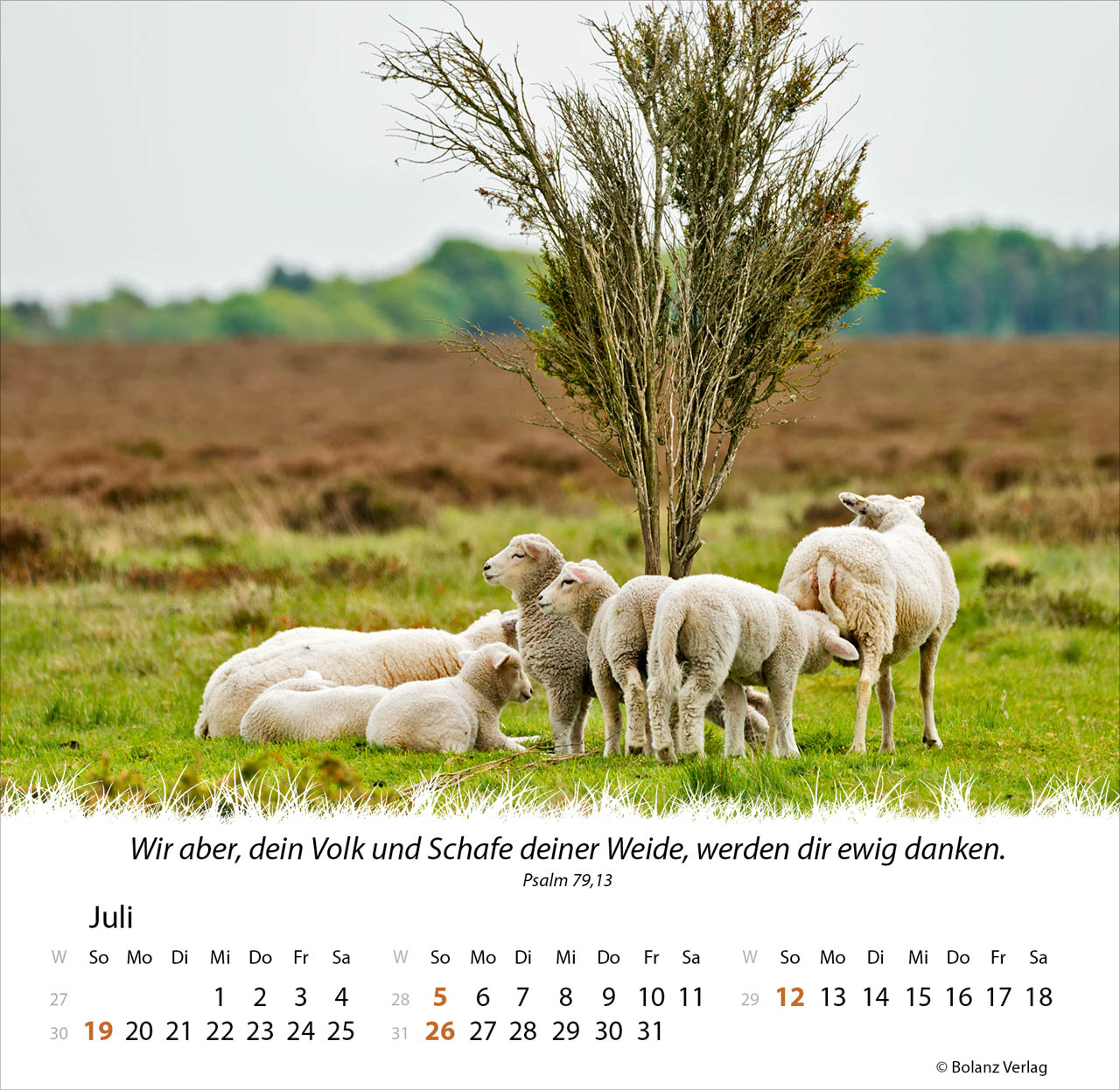 Ein Leben für die Schafe 2026 - Tischkalender