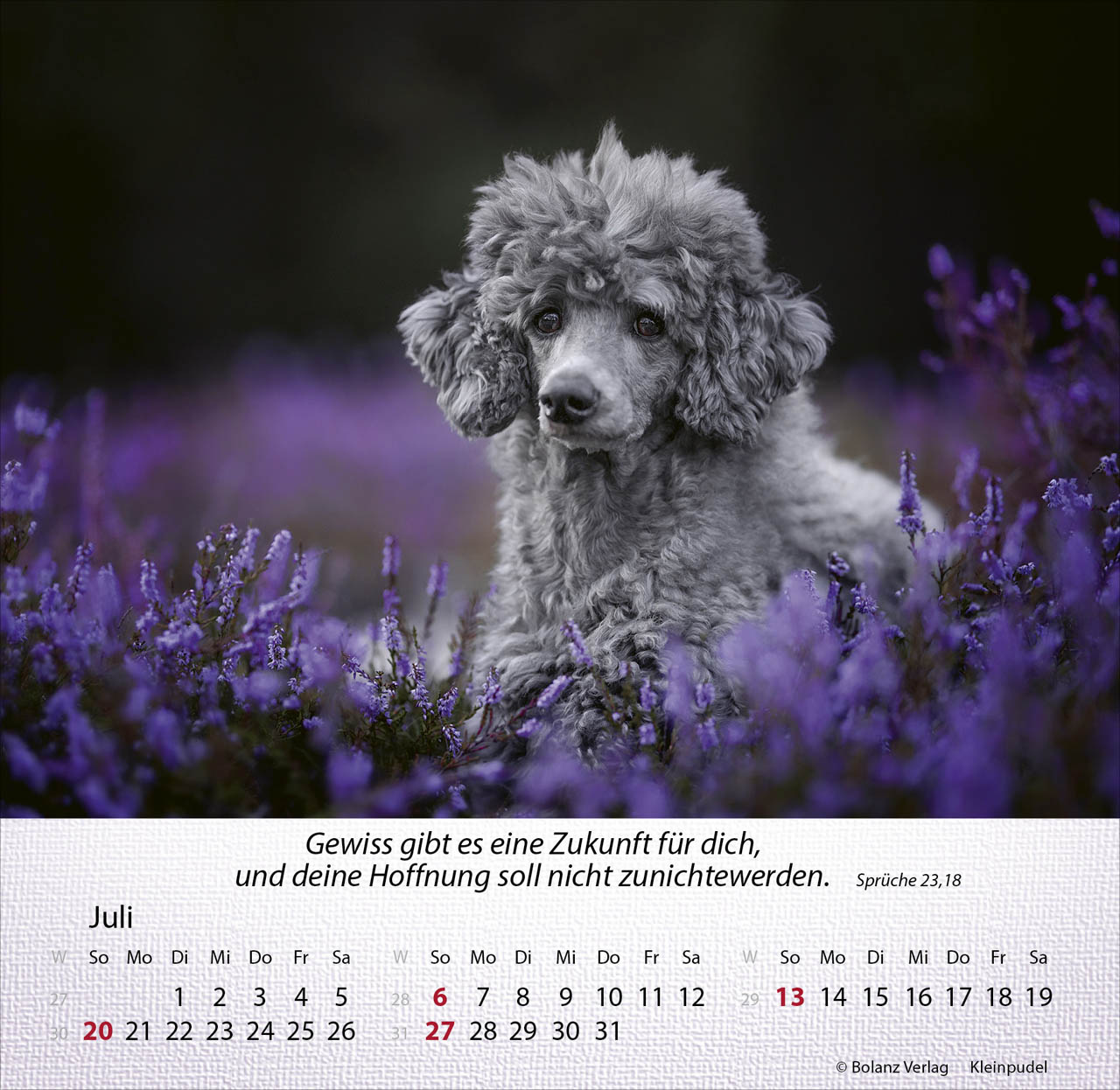 Hunde 2025 - Tischkalender