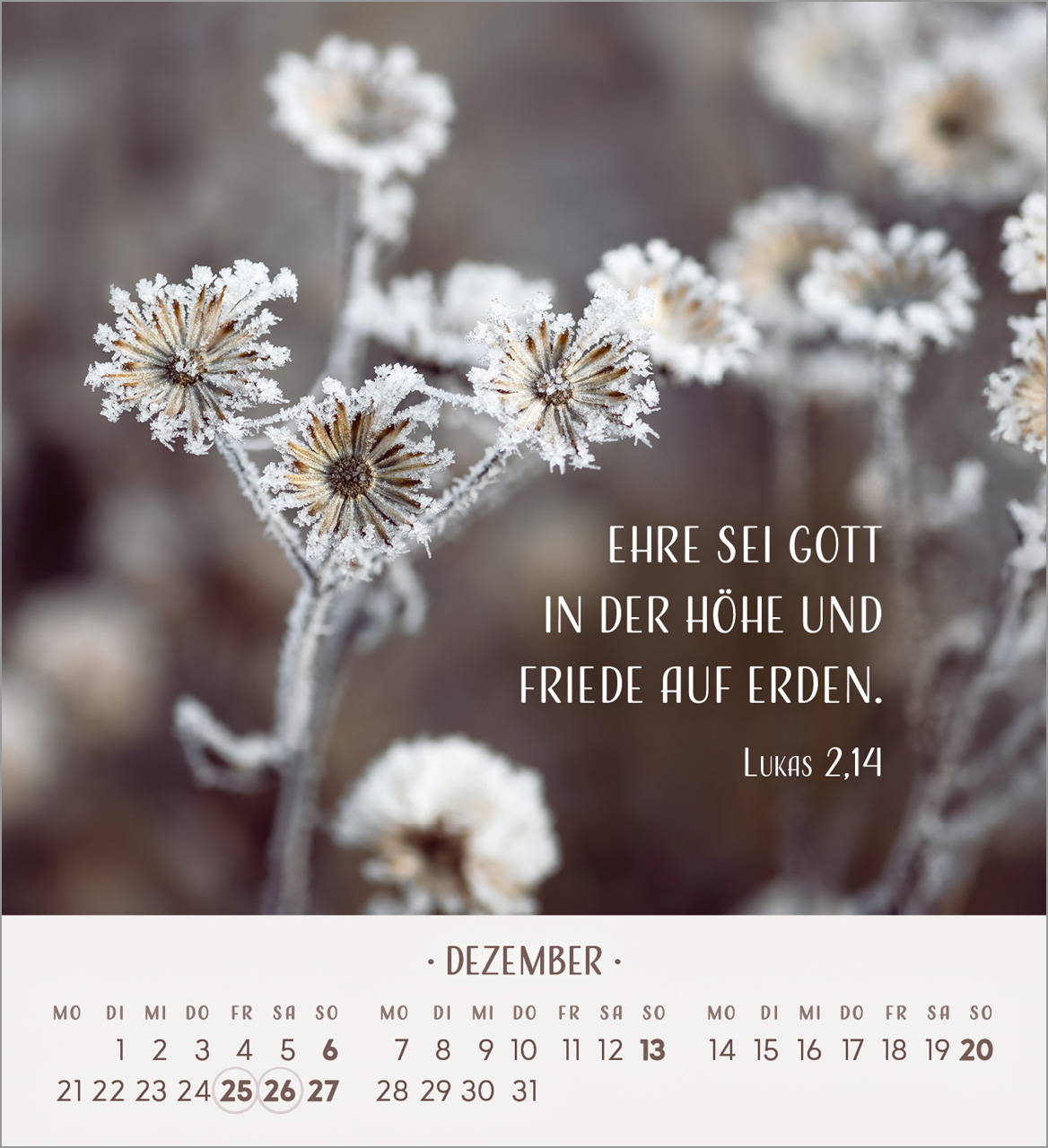 Zarte Blumengrüße Tischkalender 2026