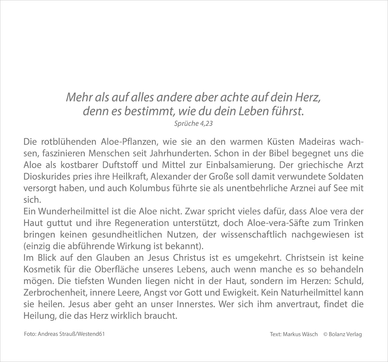 Meine Zeit 2027 – Wandkalender