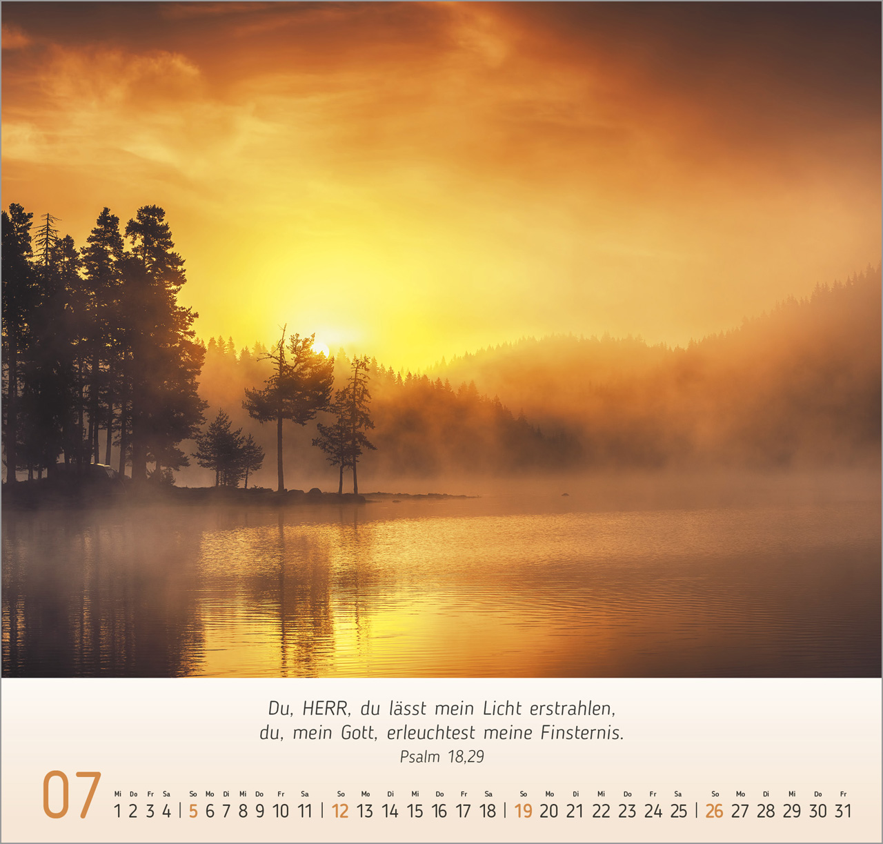 Licht Impressionen Wandkalender 2026