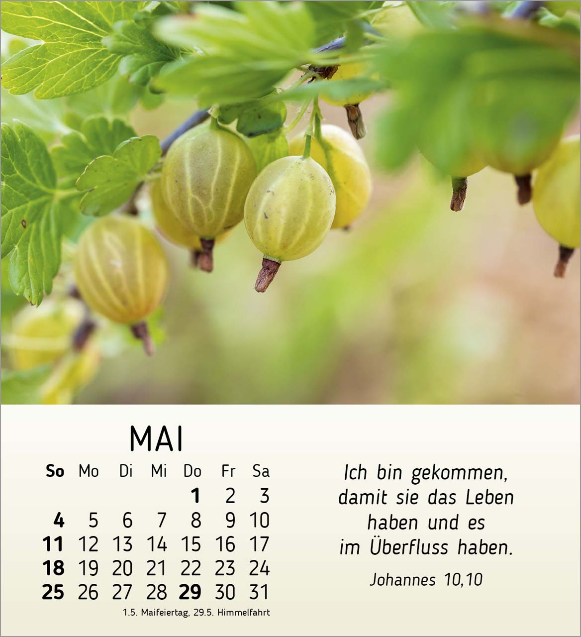 Stille Begegnungen Tischkalender