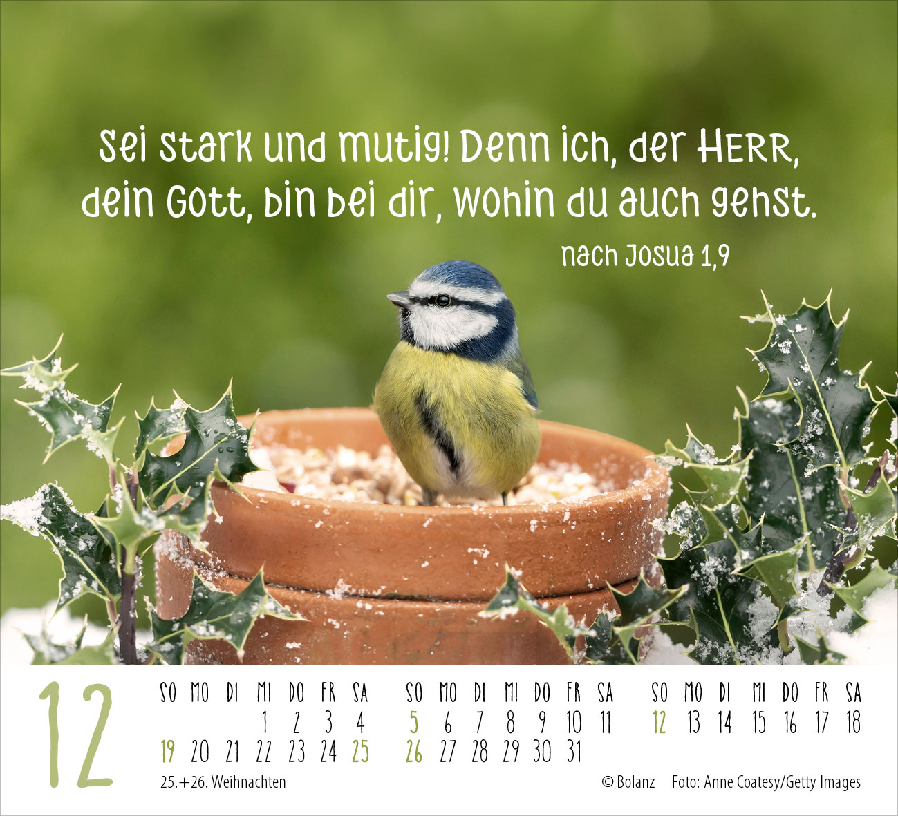 Begegnungen – dich vergess ich nie 2027 – Minikalender