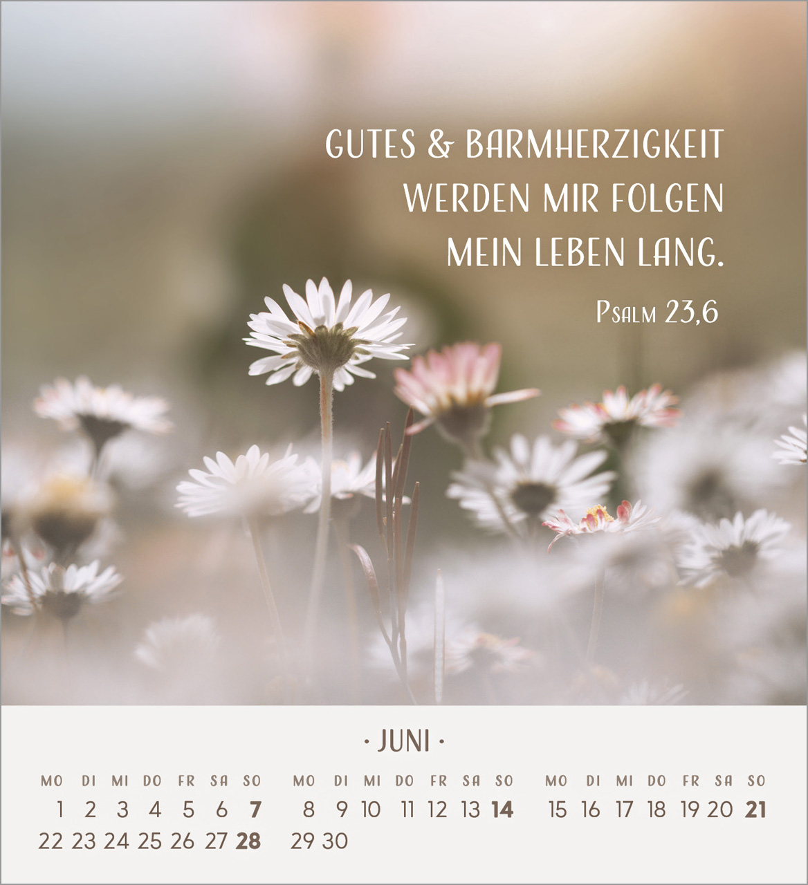 Zarte Blumengrüße Tischkalender 2026