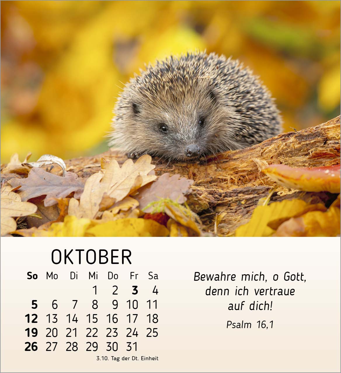 Stille Begegnungen Tischkalender