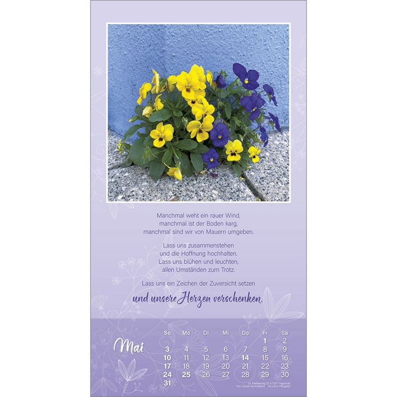 Schön, dass es dich gibt 2026