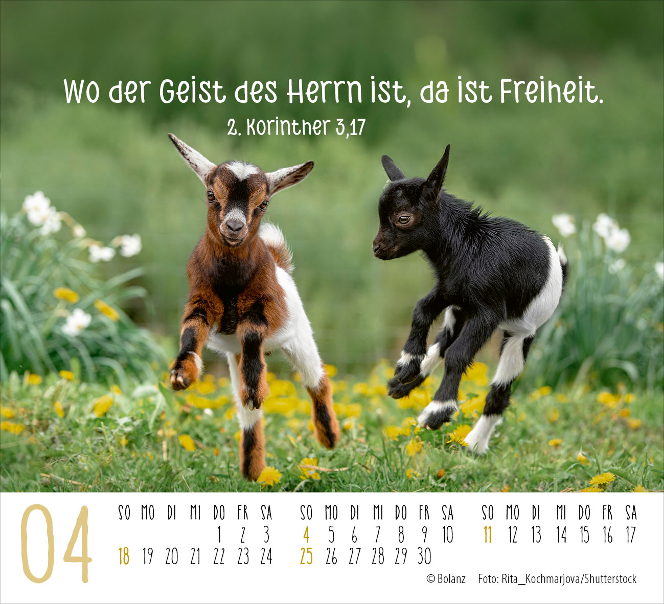 Begegnungen – dich vergess ich nie 2027 – Minikalender