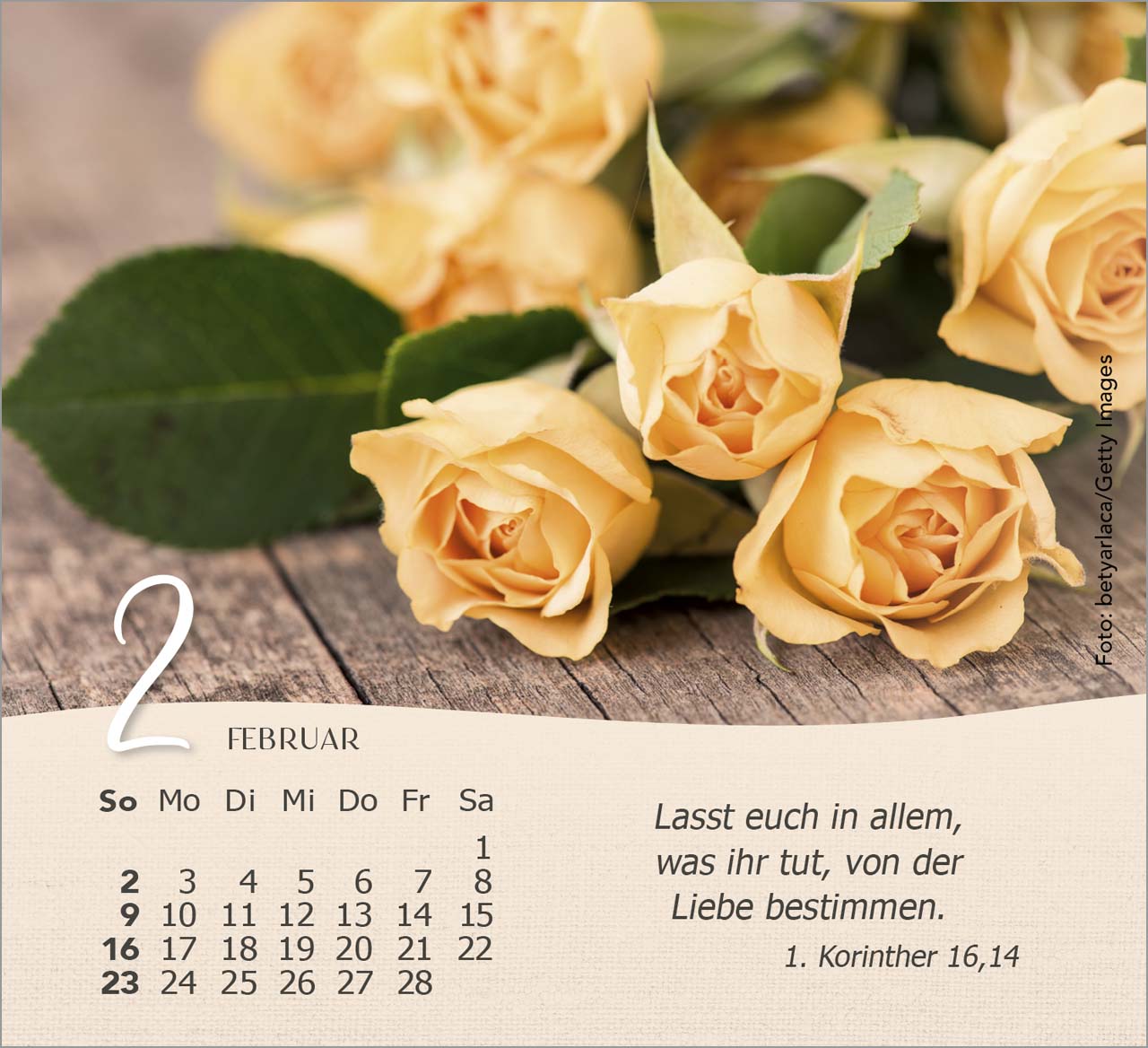 Rosen Tischkalender