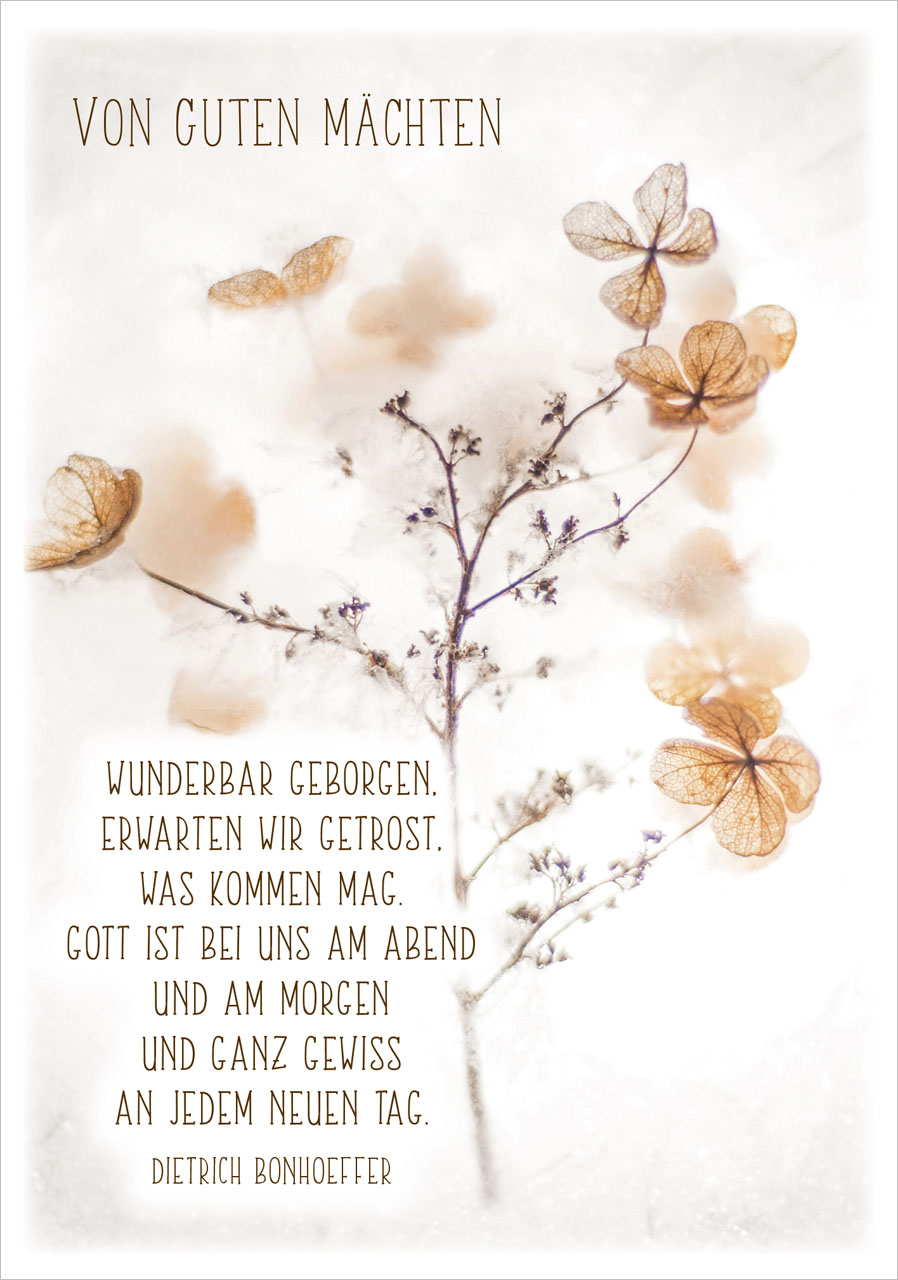 Faltkarte Wunderbar geborgen