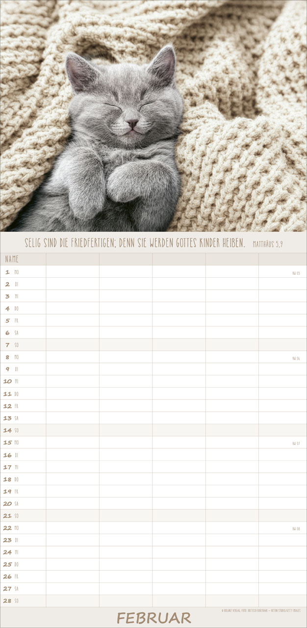 Katzen – Anmut auf vier Pfoten 2027 – Familienplaner