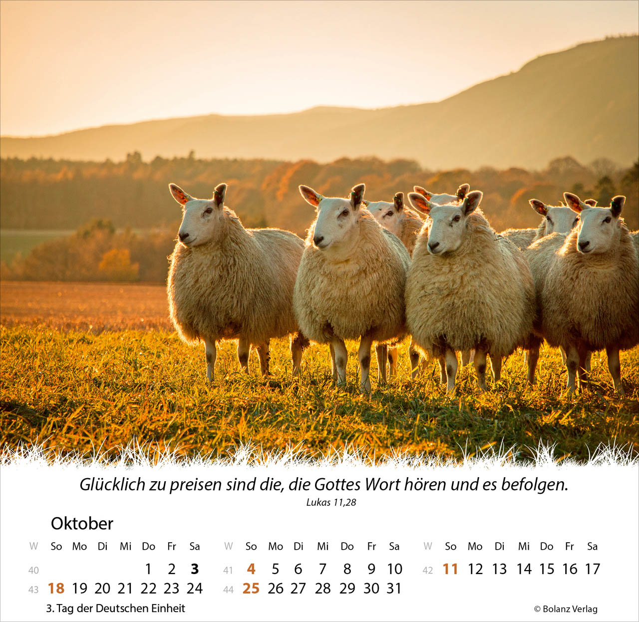 Ein Leben für die Schafe 2026 - Tischkalender