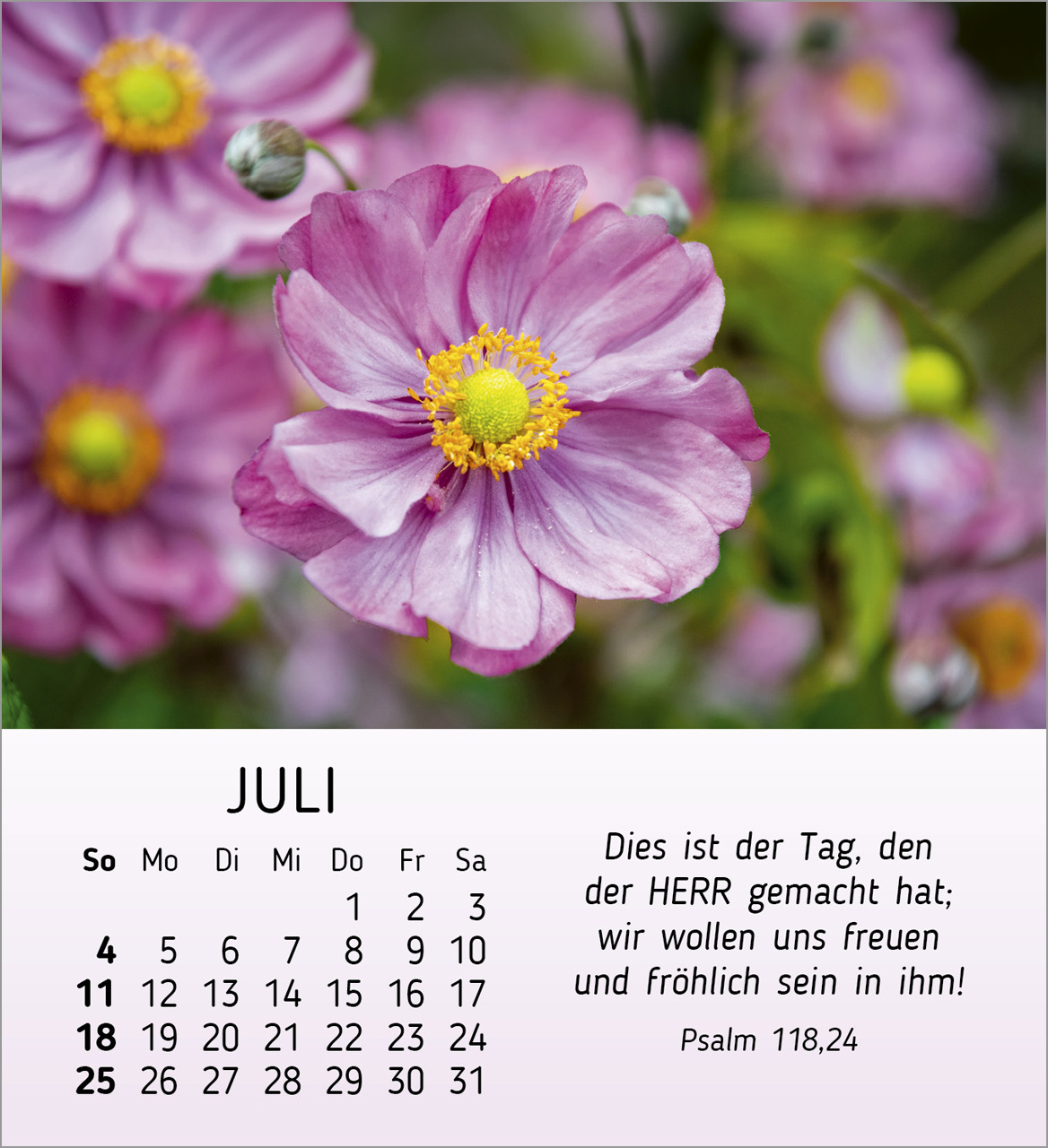 Ich wünsche dir Freude 2027 – Tischkalender
