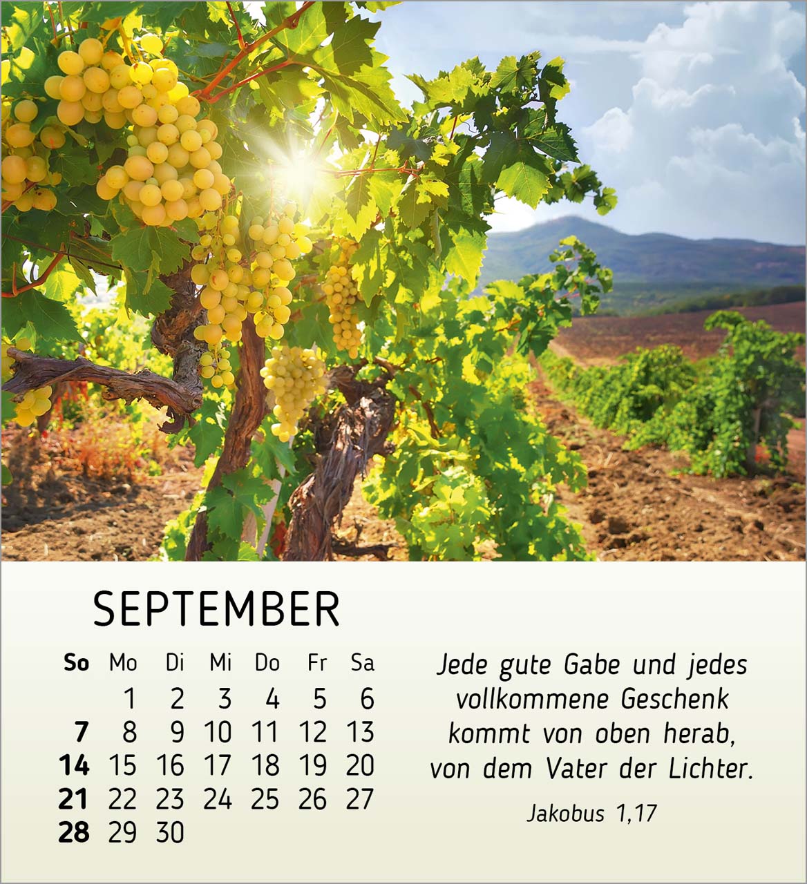 Schönheit des Lichts Tischkalender