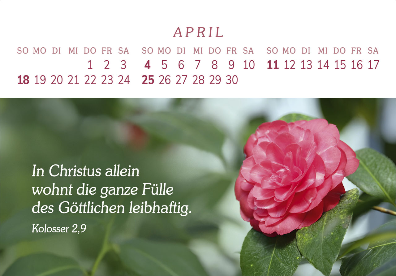 Das Geschenk der Freude 2027 – Panorama-Tischkalender