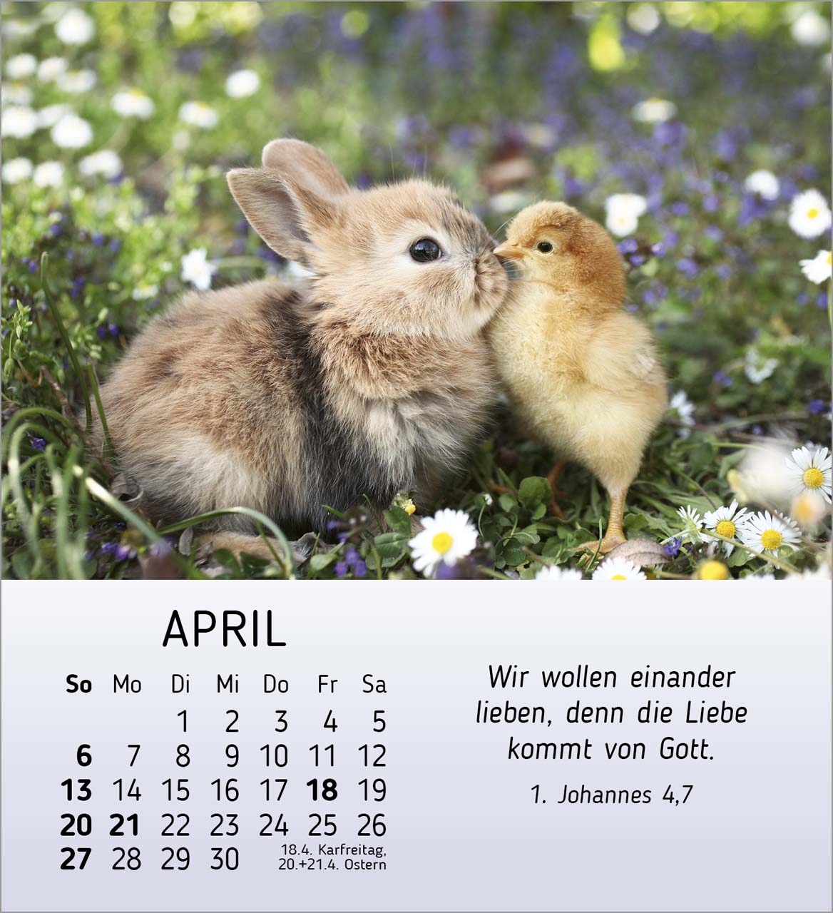 Meine kleinen Freunde 2025 - Tischkalender