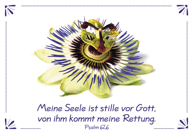 Neujahrslose Blumen