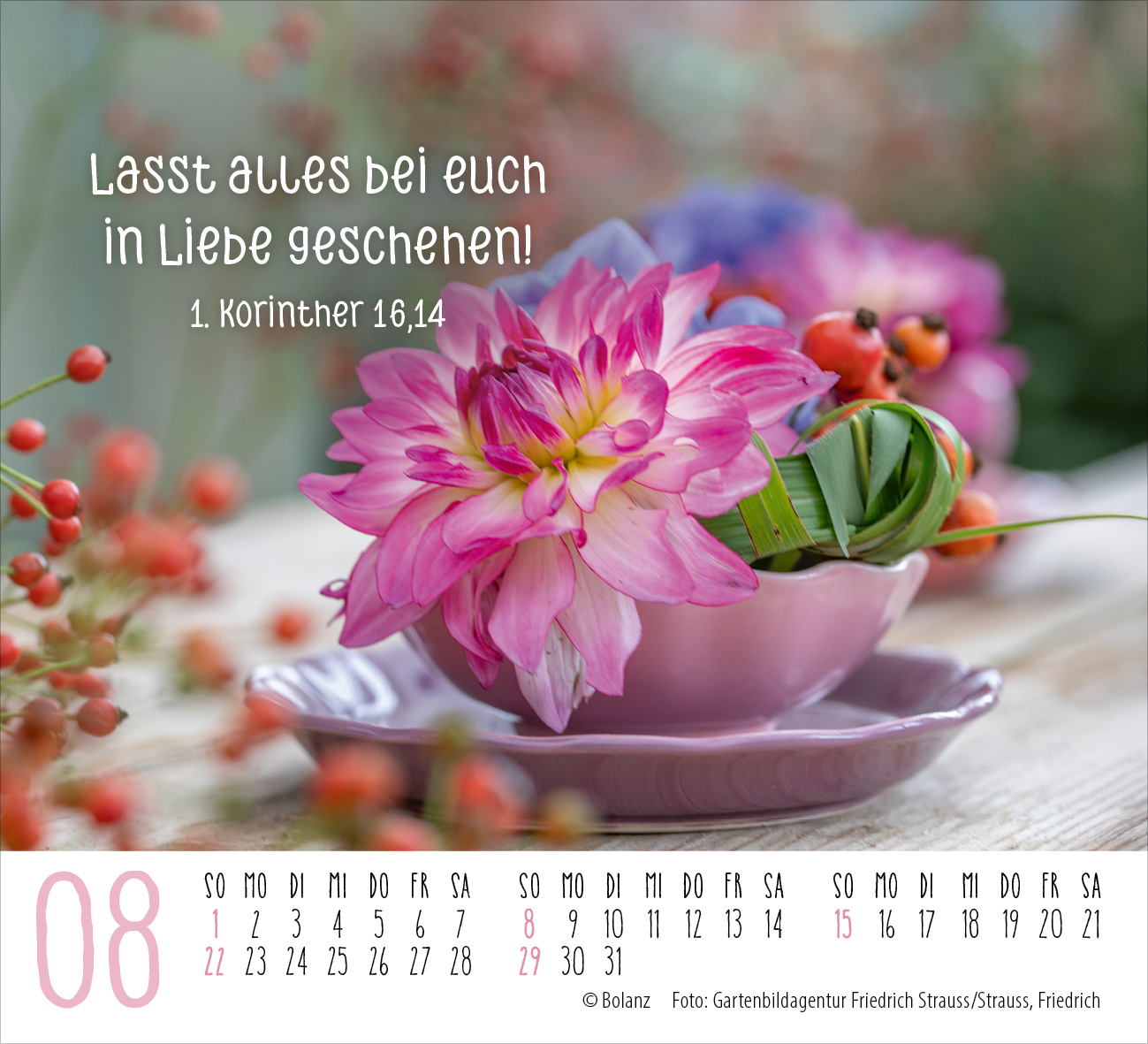 Harmonien für die Seele 2027 – Minikalender