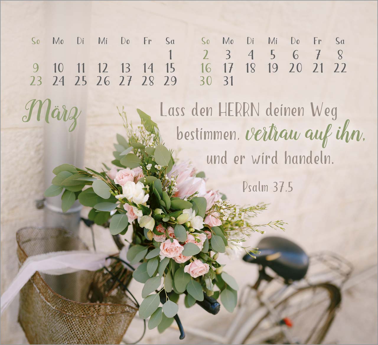 Sei gesegnet! - Tischkalender