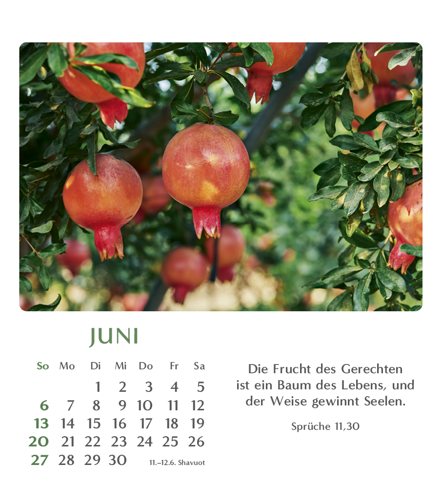 Geliebtes Israel 2027 – Tischkalender