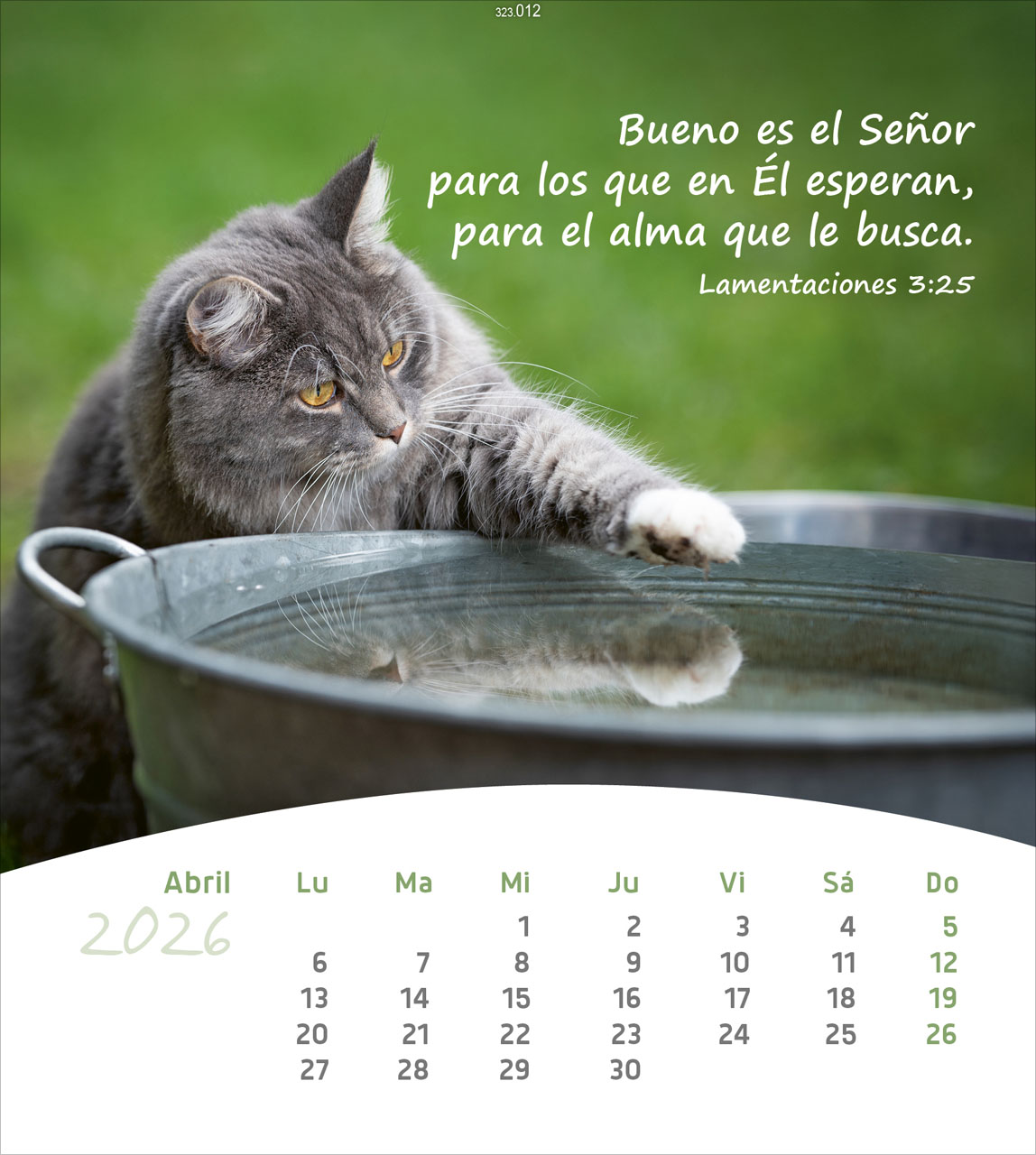 Leben für Dich 2026 - Spanisch