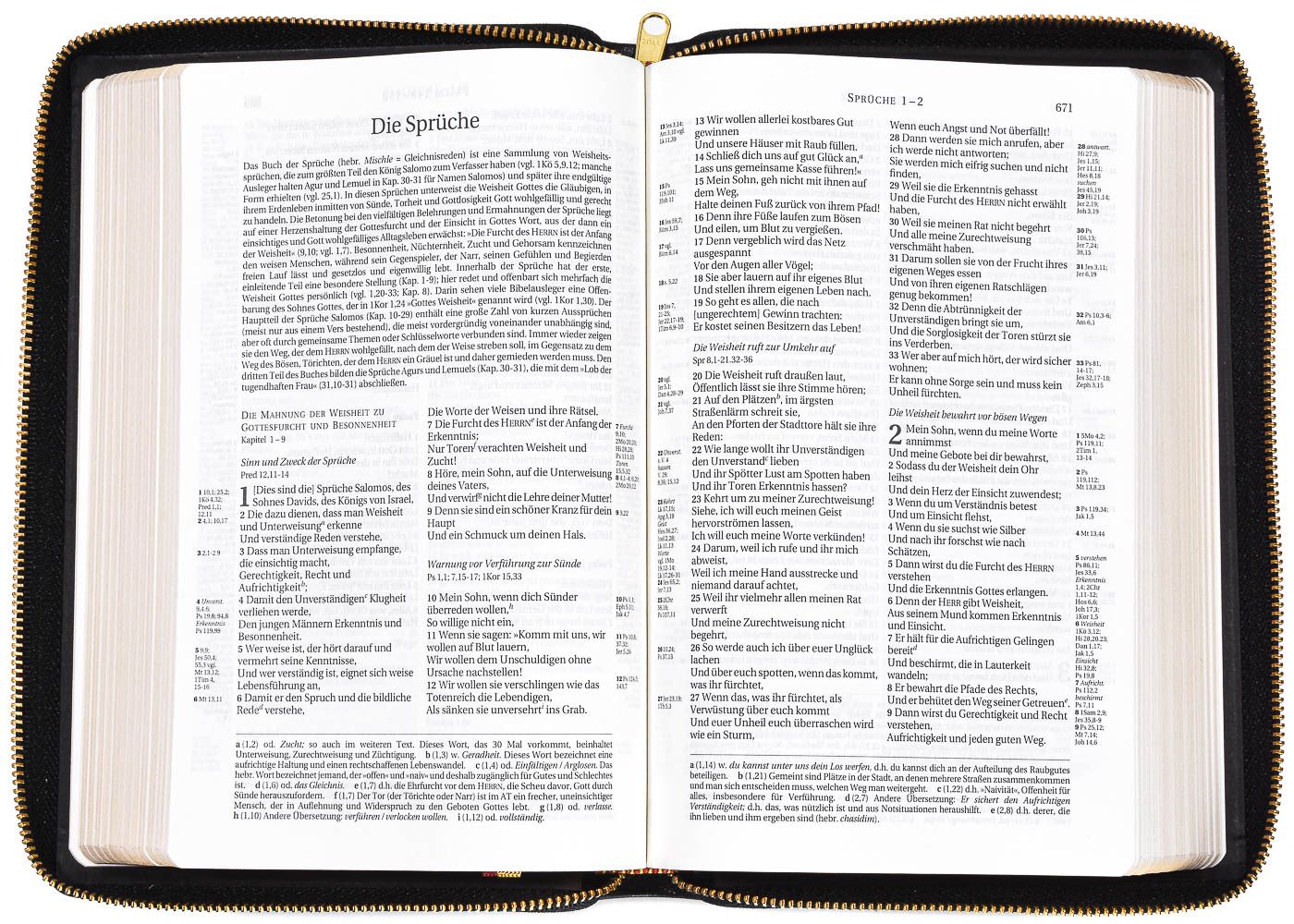 Schlachter 2000 Bibel - Taschenausgabe, Softcover, Goldschnitt, Reißverschluss, Kalbsleder