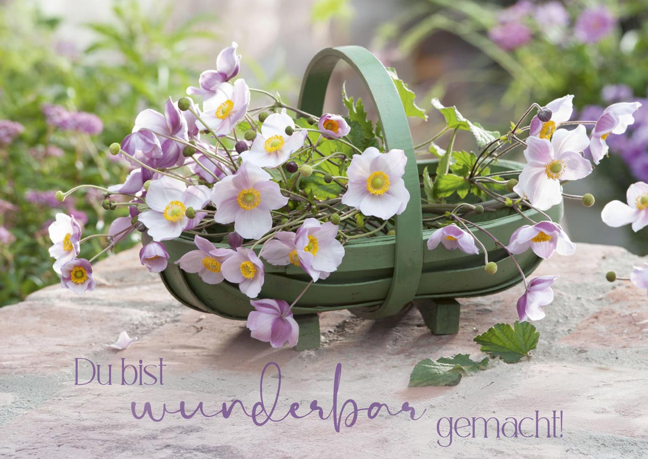Postkartenbox Wir feiern im Garten