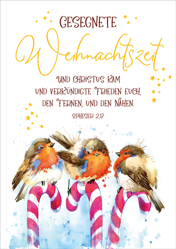 Faltkarte Rotkehlchen auf Zuckerstanden