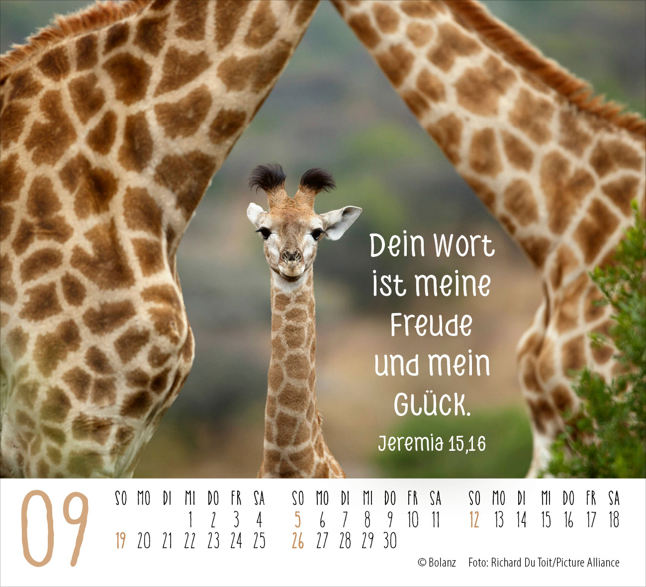 Begegnungen – dich vergess ich nie 2027 – Minikalender