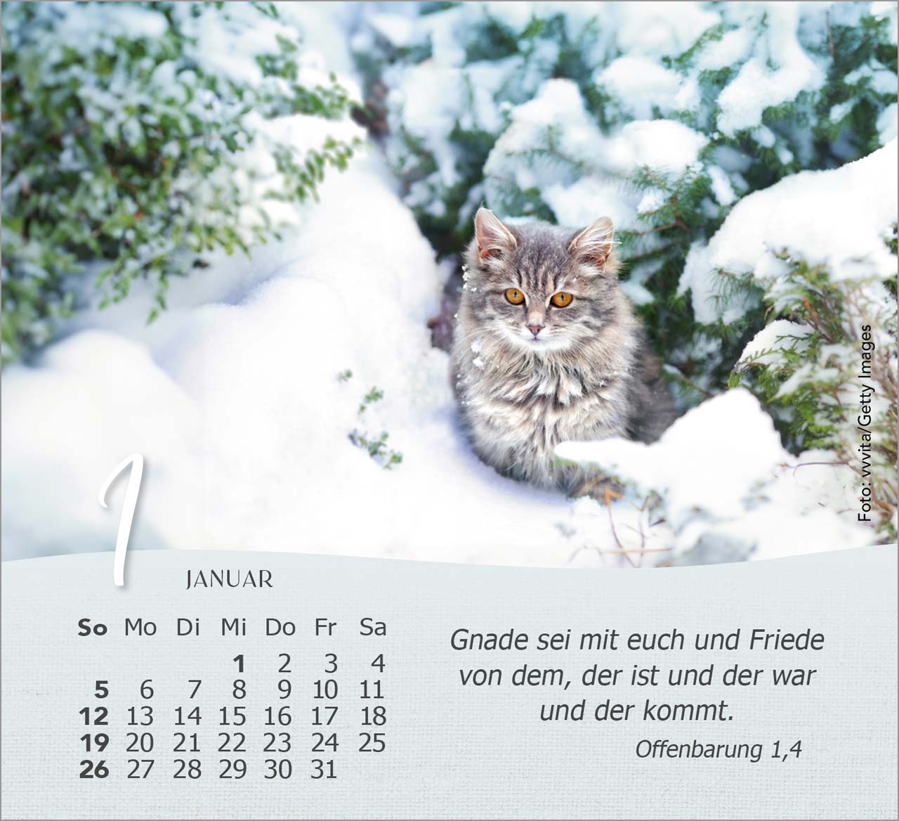 Katzen Tischkalender