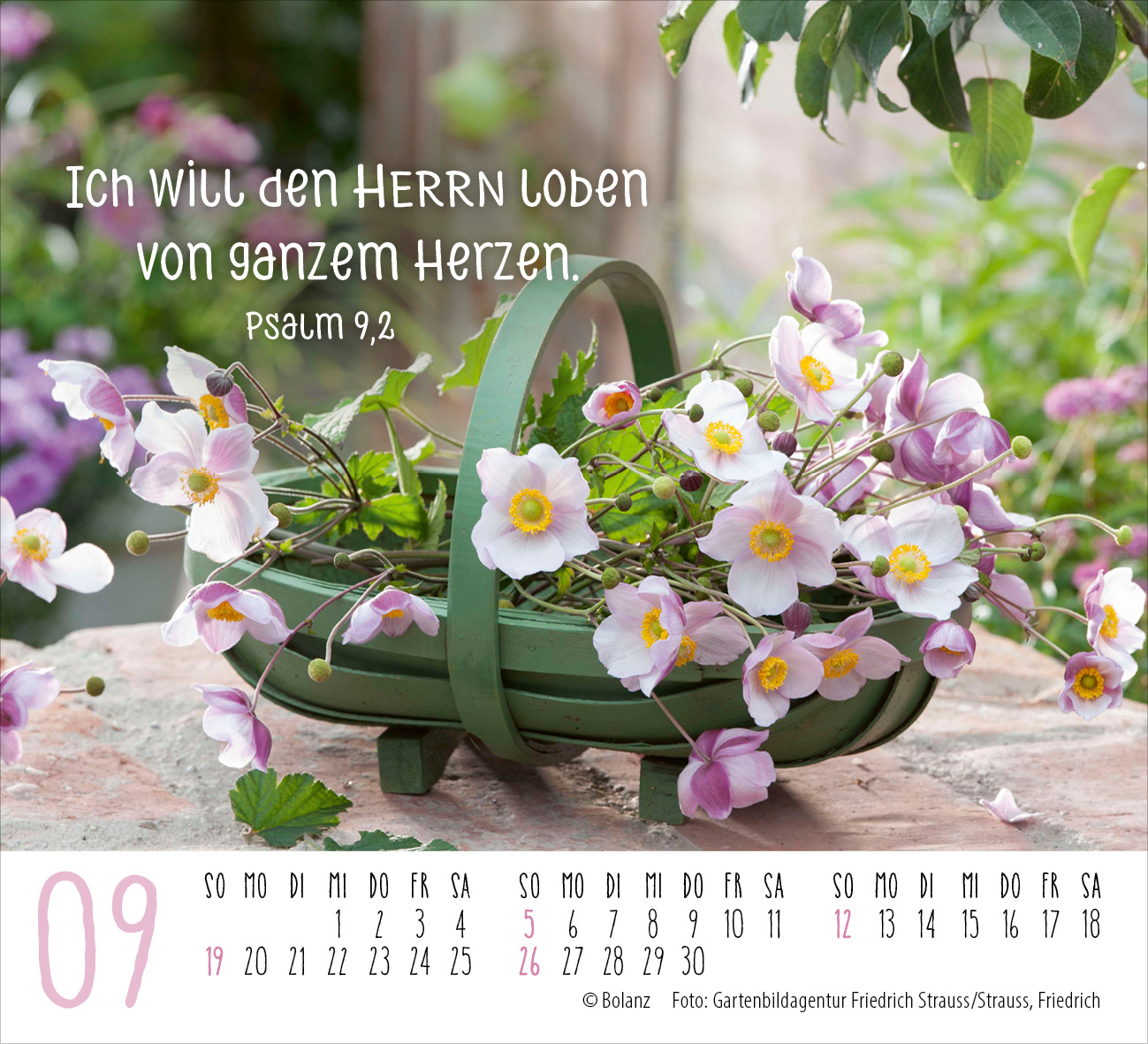 Harmonien für die Seele 2027 – Minikalender