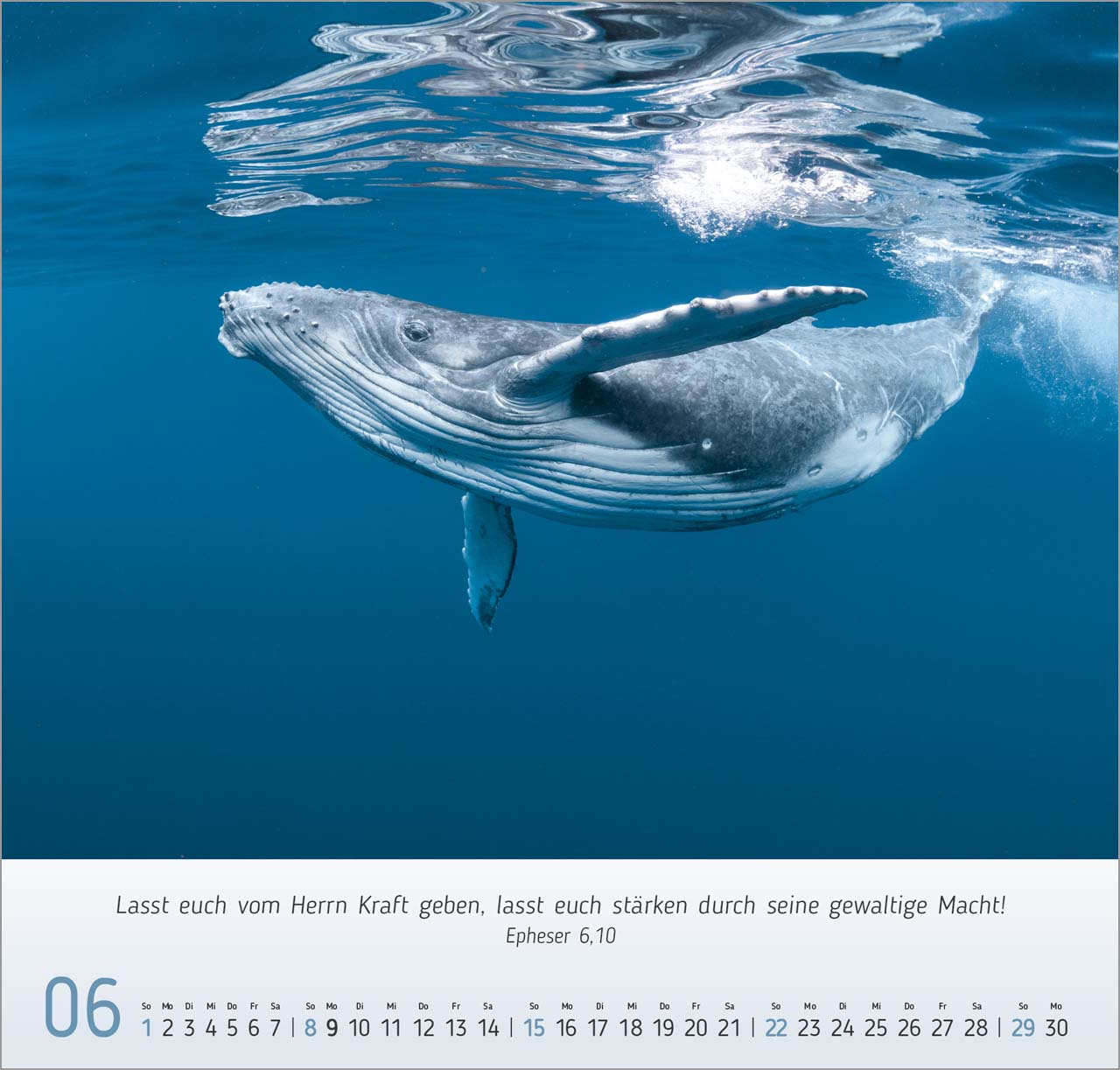 Natur- Impressionen Wandkalender