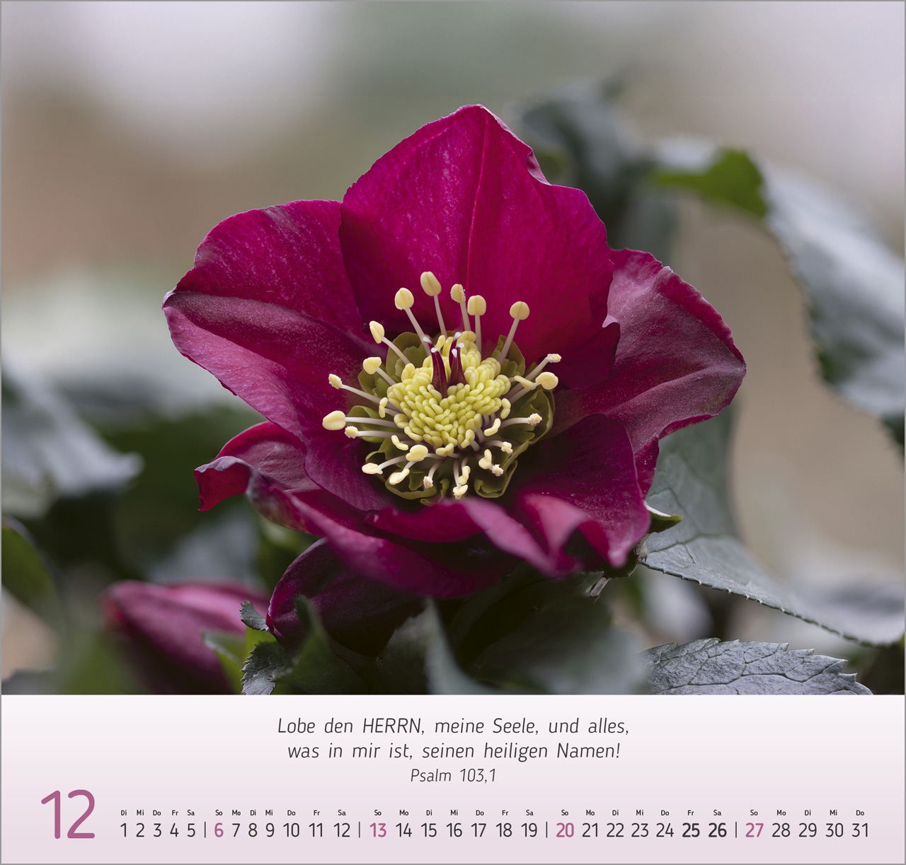 Blumen-Impressionen Wandkalender 2026