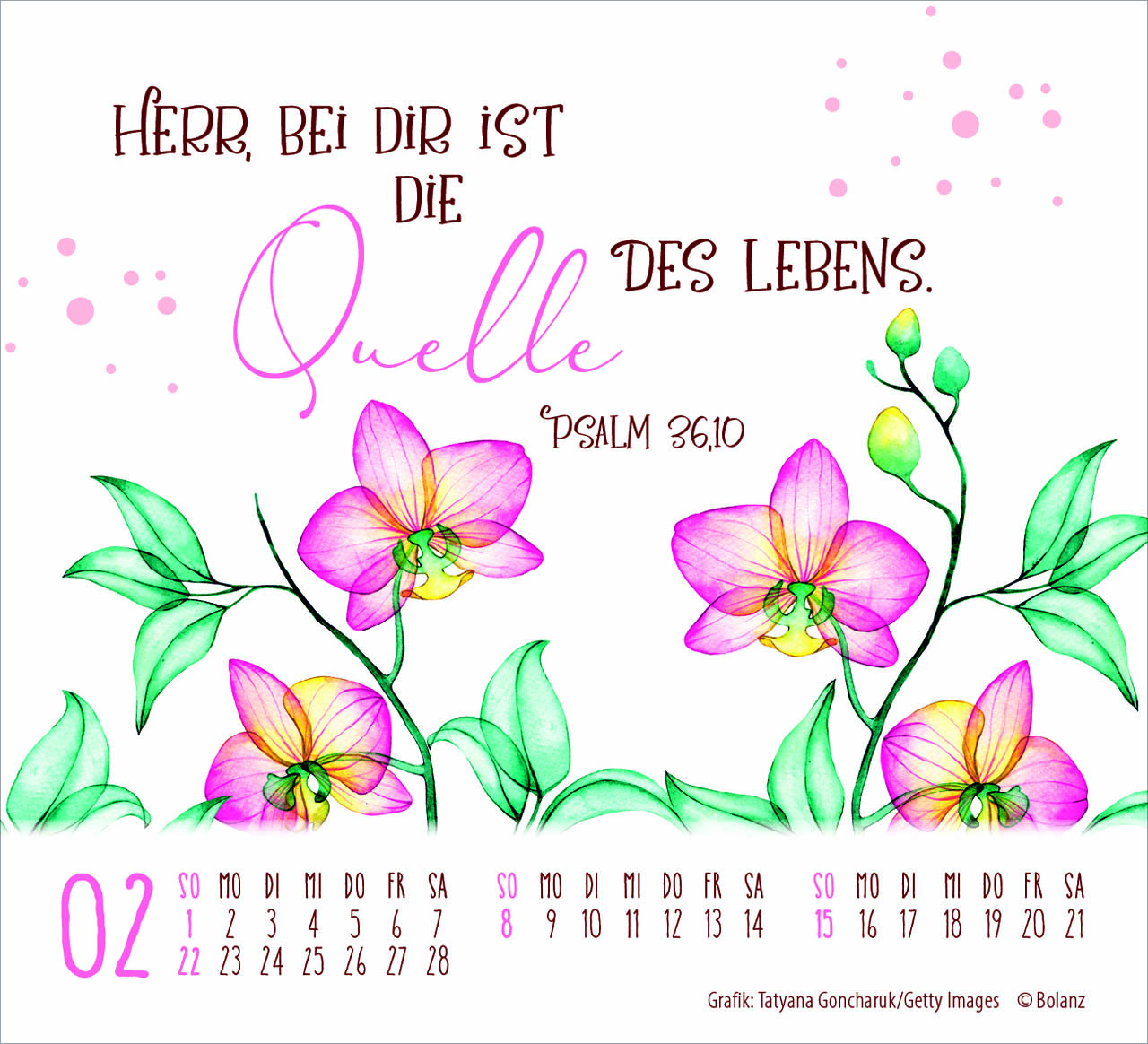 Geschützt in seiner Hand 2026 - Minikalender