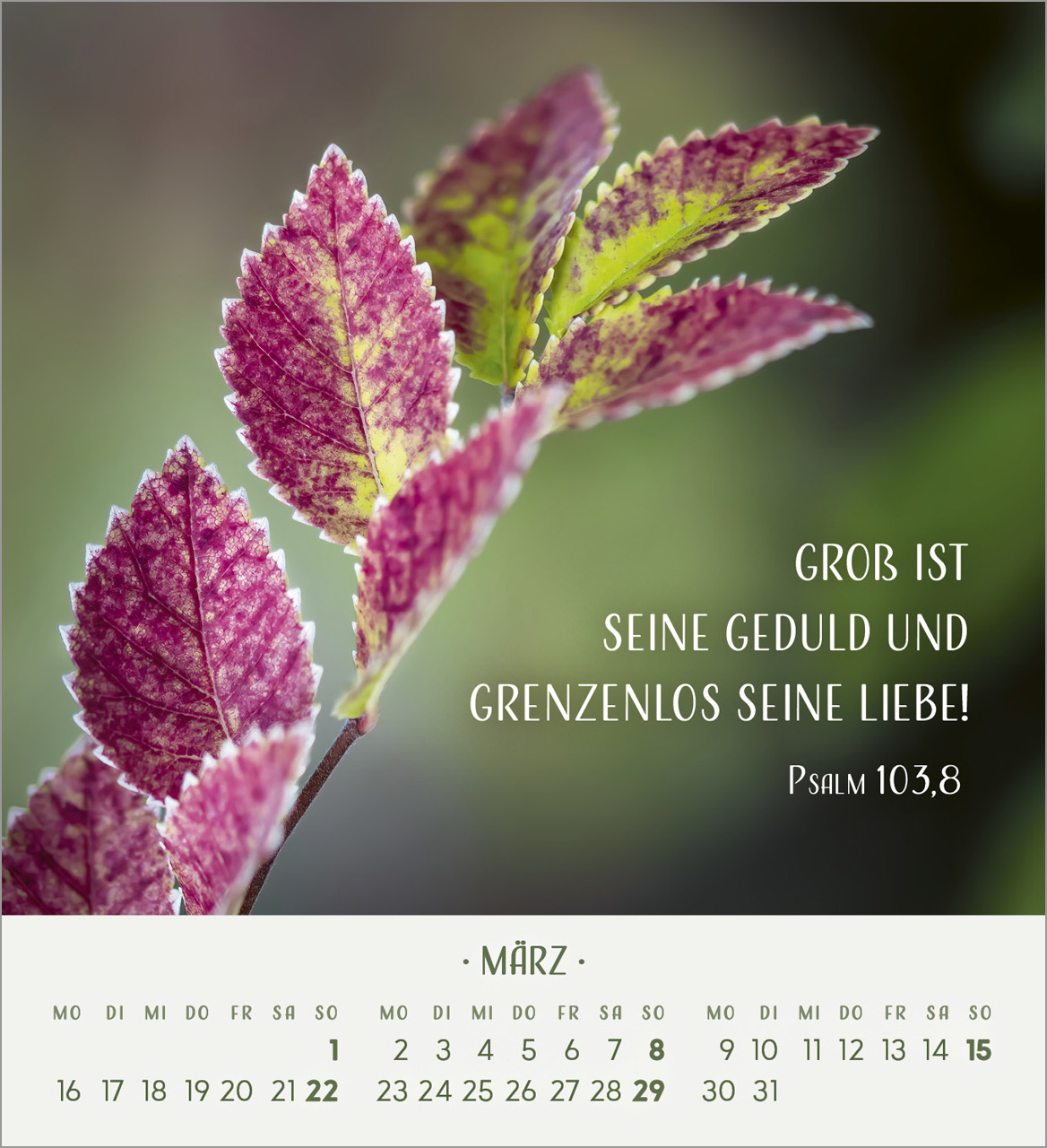 Zarte Blumengrüße Tischkalender 2026
