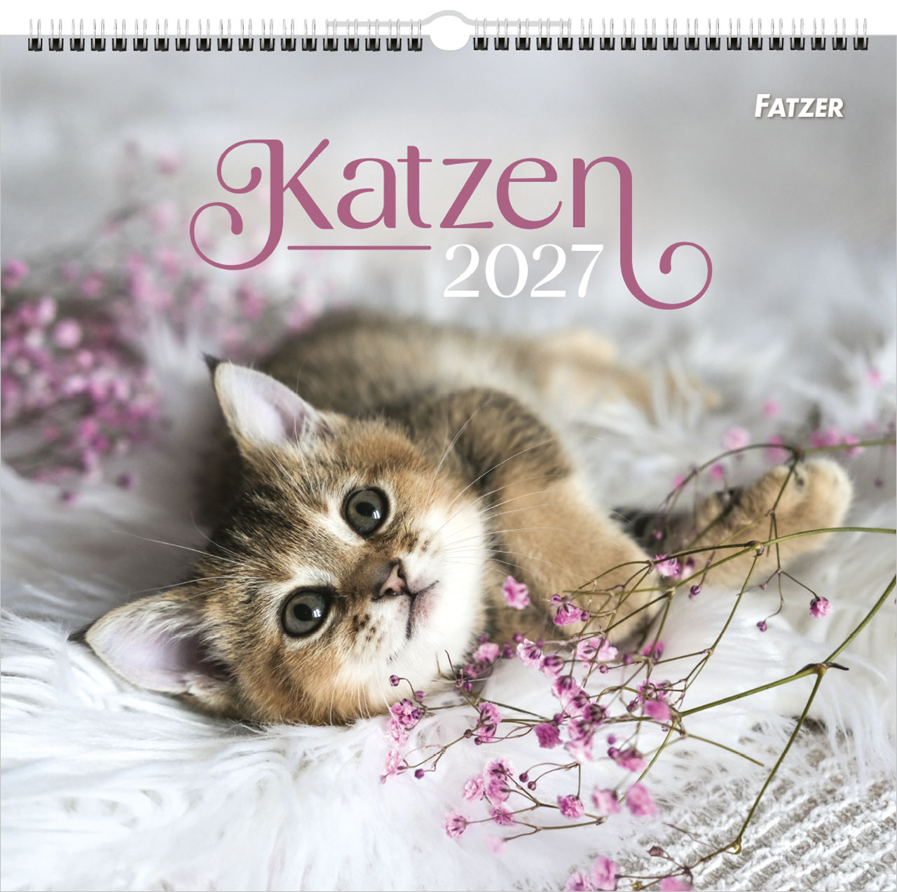 Katzen 2027 – Wandkalender