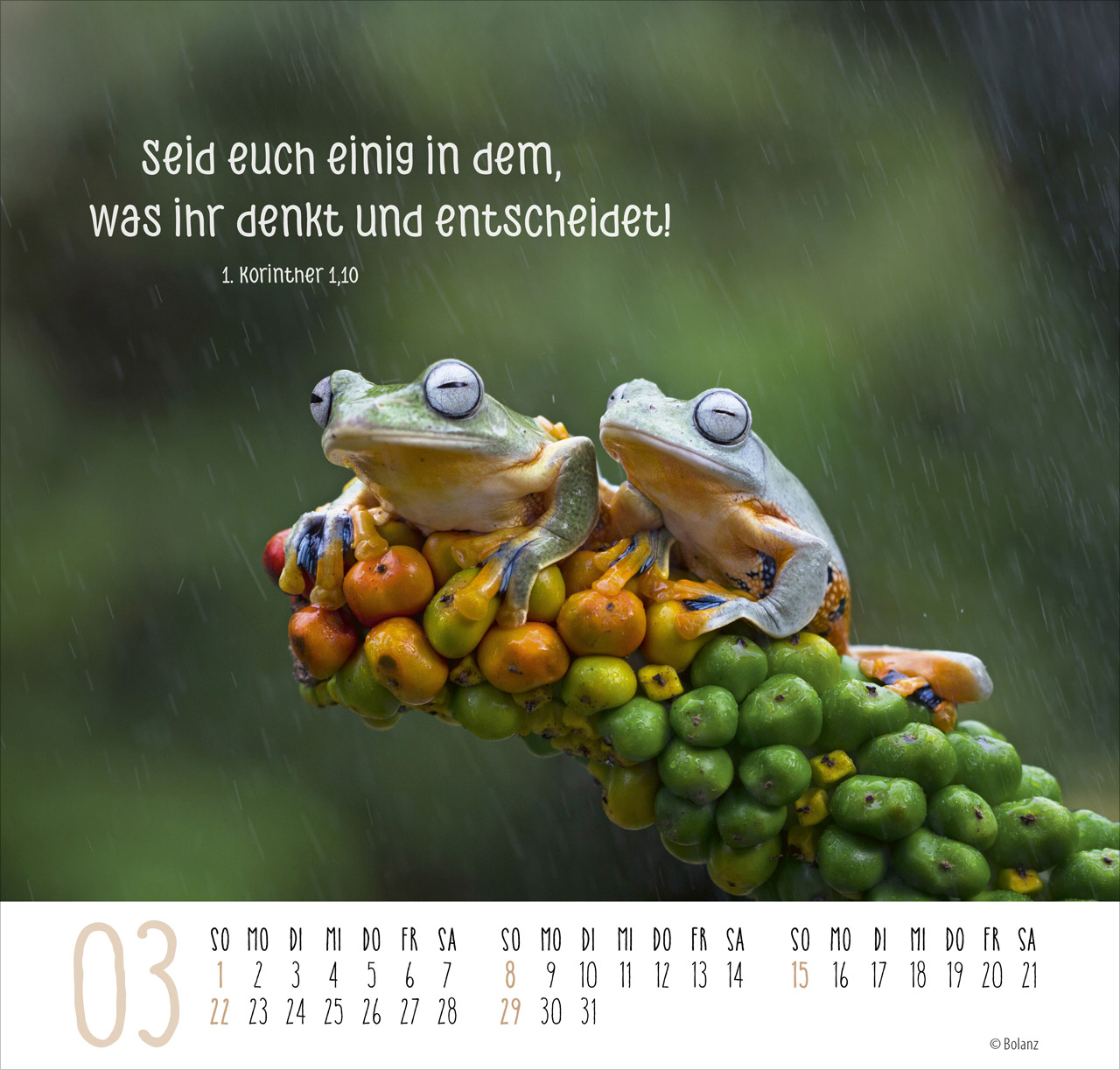 Beste Freunde - Ich mag dich 2026 - Posterkalender