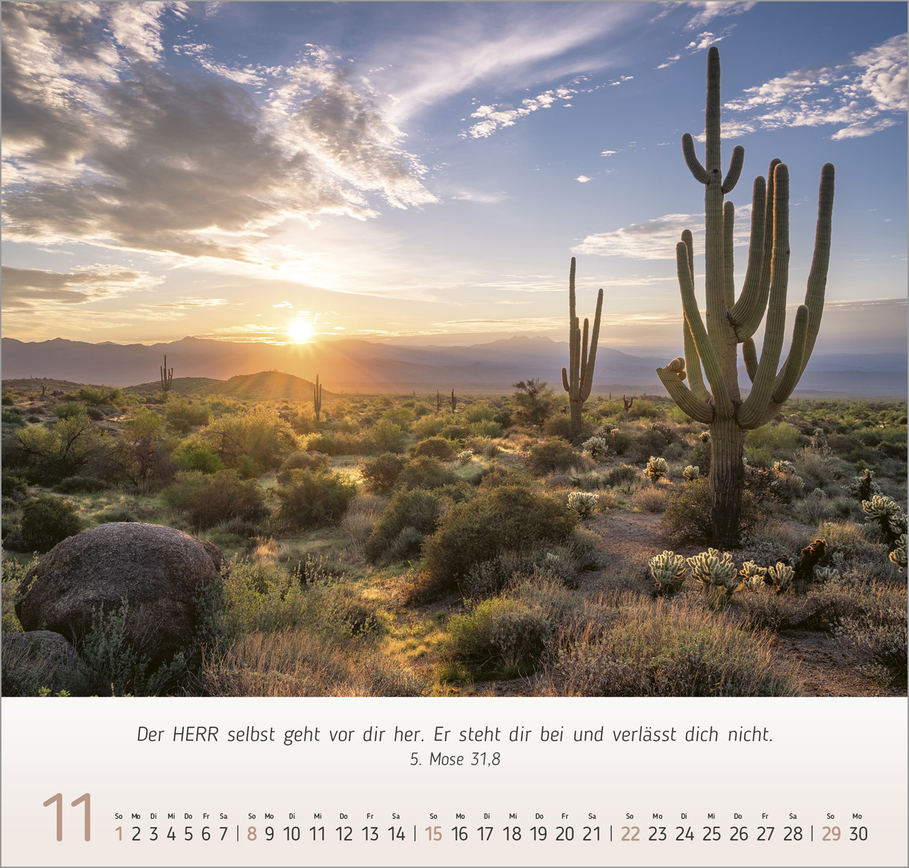 Natur- Impressionen Wandkalender 2026