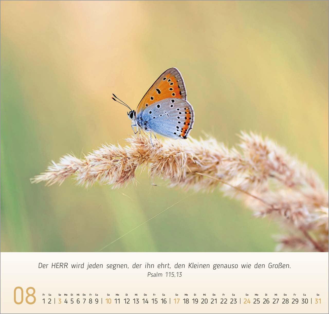 Gesichter der Natur Wandkalender