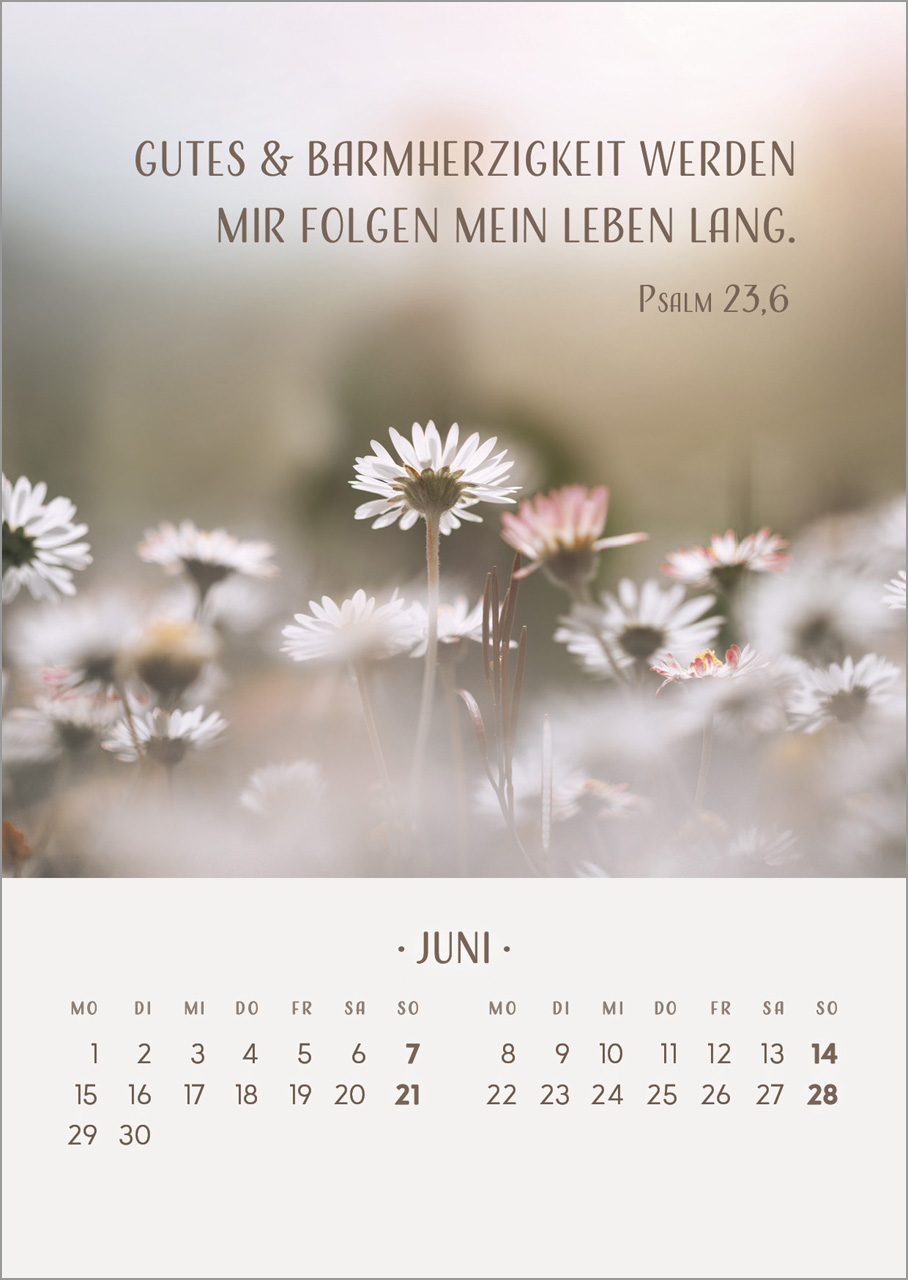 Zarte Blumengrüße 2026 Zarte Blumengrüße 2026