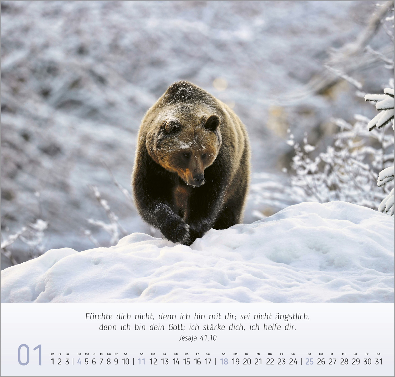 Natur- Impressionen Wandkalender 2026