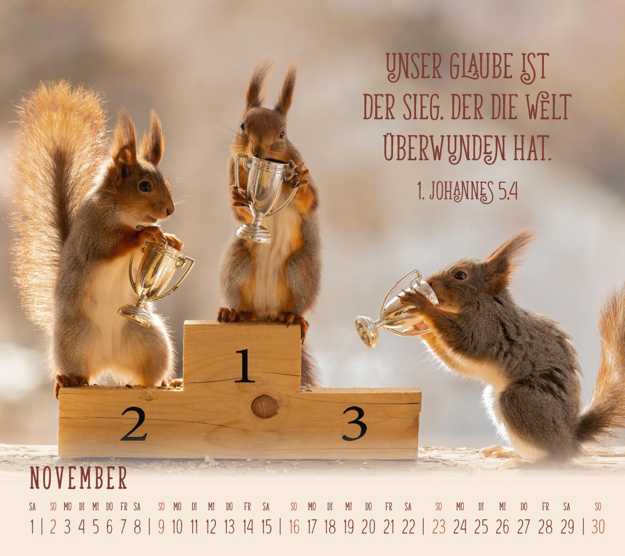 Du sorgst für mich - Eichhörnchen Kalender