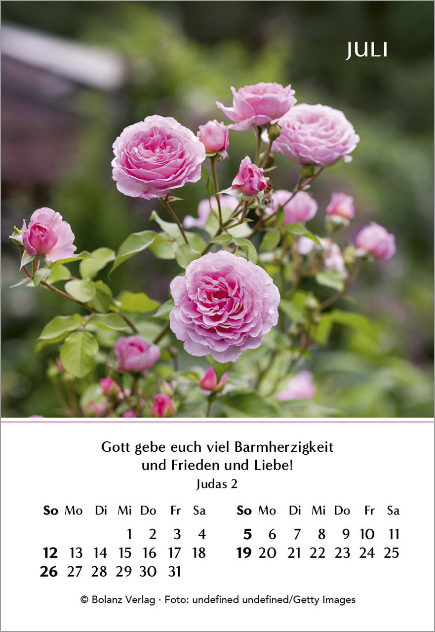 Ein Jahr der Freude Mini-Kalender 2026