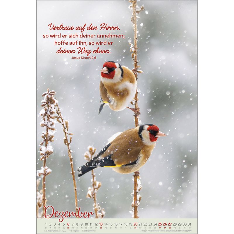 Beflügelt und getragen 2026