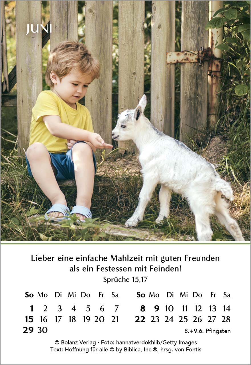 Ein Jahr der Freude Mini-Kalender