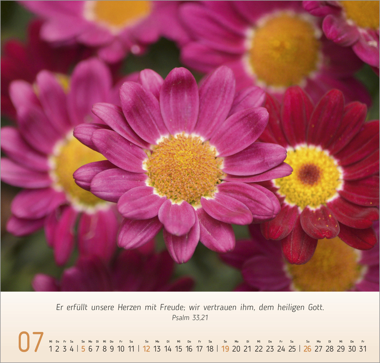Blumen-Impressionen Wandkalender 2026