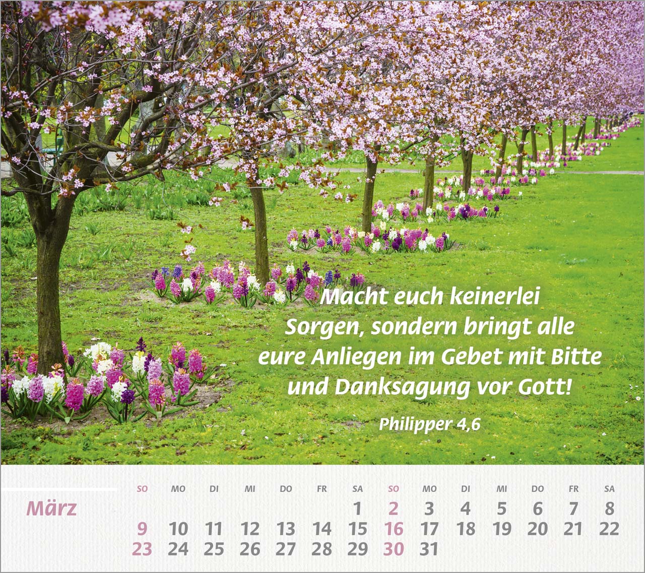 Du bist meine Stärke Großdruck-Tischkalender