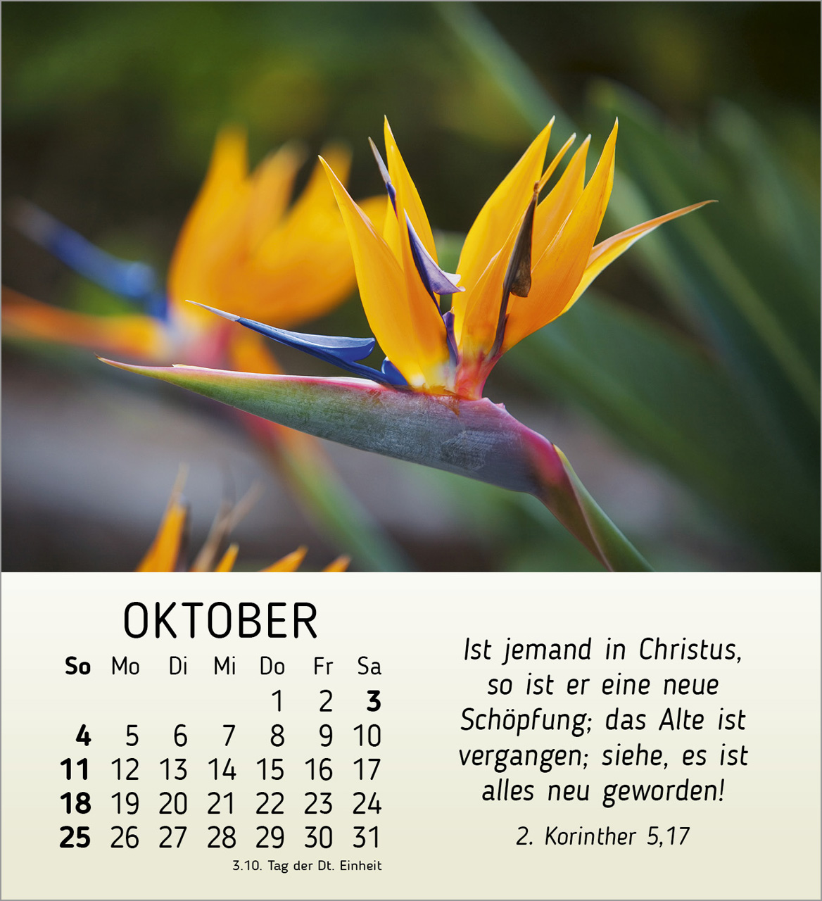 Ich wünsche dir Freude Tischkalender 2026