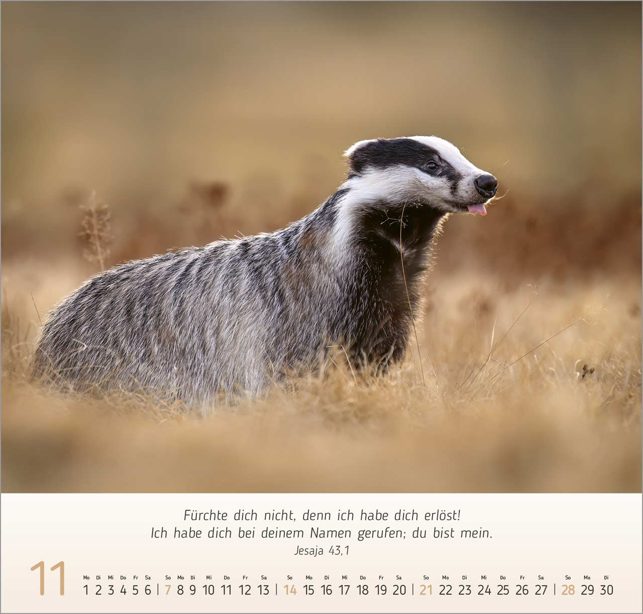 Gesichter der Natur 2027 – Wandkalender