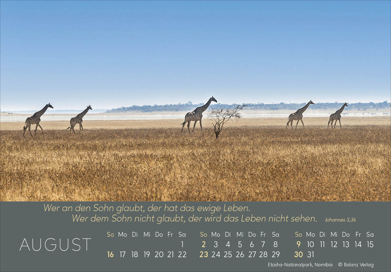 Ewigkeit in Herzen 2026 - Panoramakalender