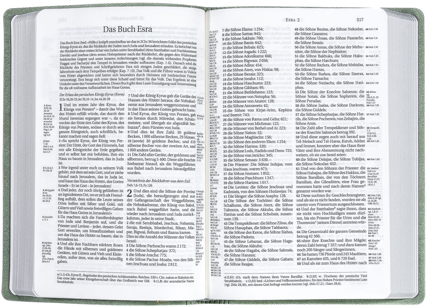 Schlachter 2000 Bibel - Taschenausgabe, oliv, grauer Farbschnitt